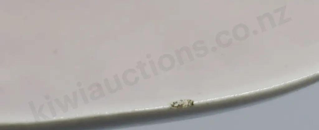 OC STEPHENS DUNEDIN OYSTER SHELL DISH Image 1++