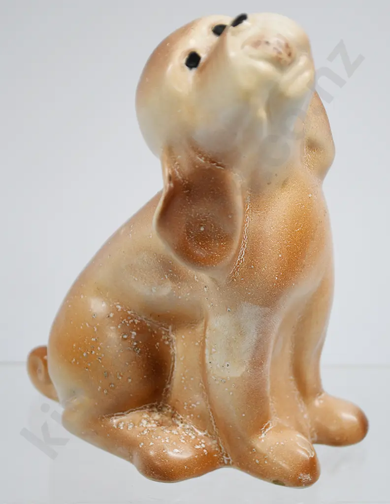 CROWN LYNN DOG NUMBER 186 Image 1++