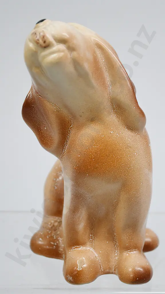 CROWN LYNN DOG NUMBER 186 Image 1++