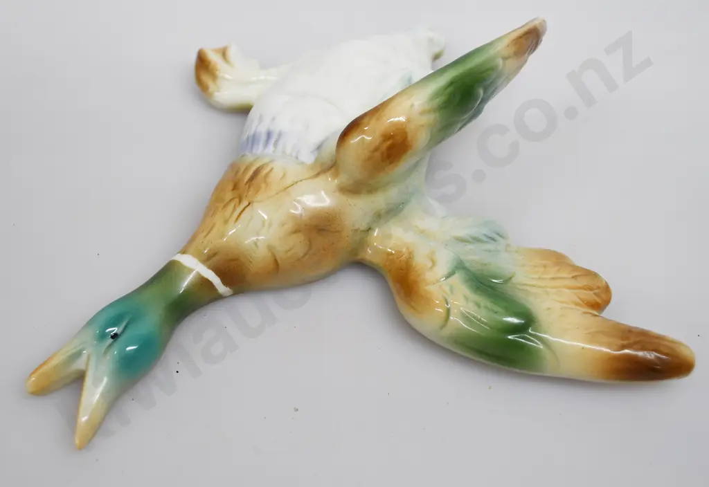 TITIAN FLYING DUCK Image 1++