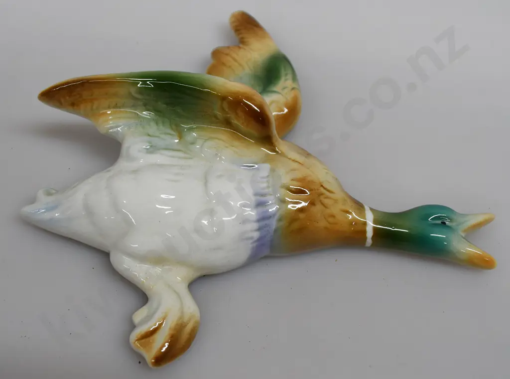 TITIAN FLYING DUCK Image 1++