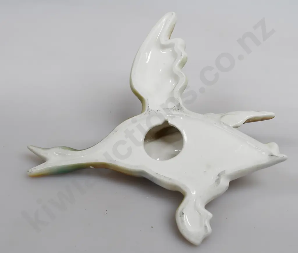 TITIAN FLYING DUCK Image 1++