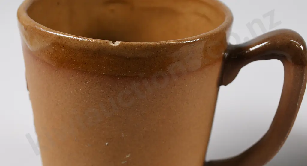 TE RONA NEW ZEALAND THEMED MUGS IN RELIEF Image 1++