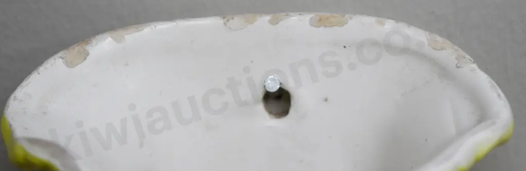 CROWN LYNN WALL POCKET DAFFODIL NUMBER 541 Image 1++