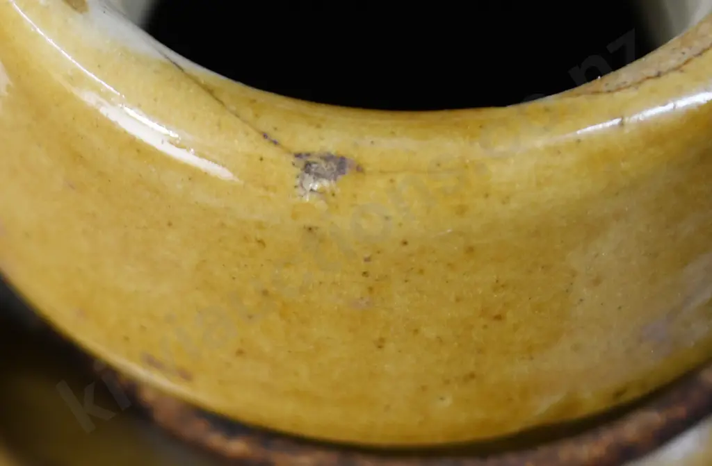 HANDLEY AUCKLAND STONE JAR Image 1++