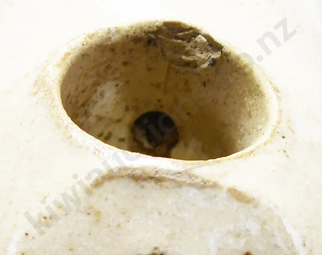 HANDLEY AUCKLAND STONE JAR Image 1++