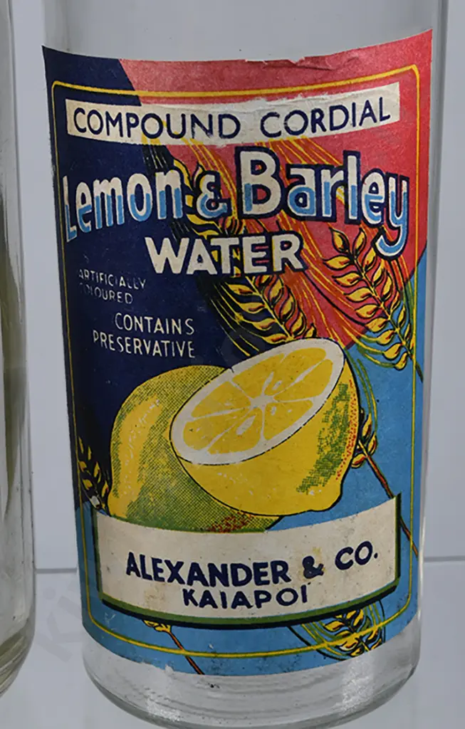 ALEXANDER KAIAPOI CROWN TOP, CORDIAL Image 1++