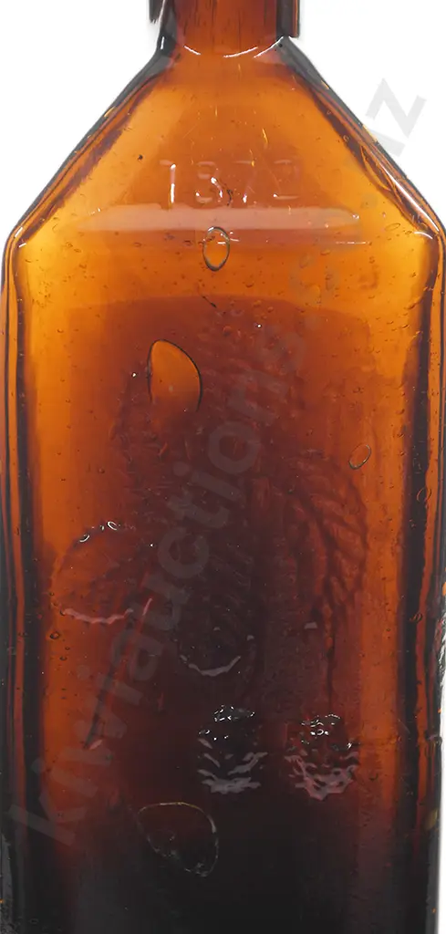 DR SOULE HOP BITTERS 1872 Image 1++
