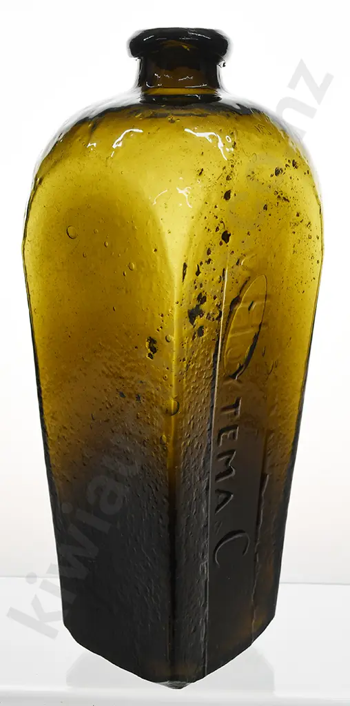 HOYTEMA GIN Image 1++