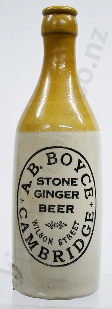 BOYCE CAMBRIDGE GINGER BEER Image 1++