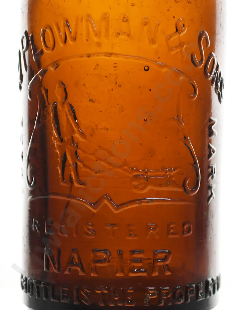PLOWMAN NAPIER INTERNAL THREAD Image 1++
