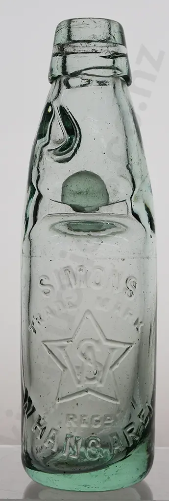 SIMONS WHANGAREI CODD Image 1++