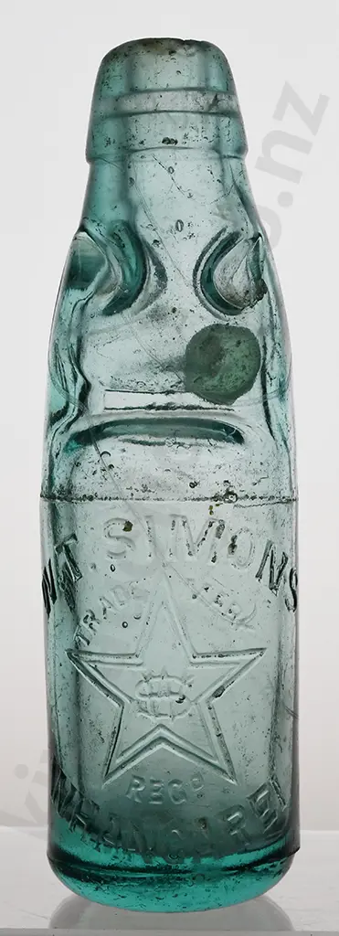 SIMONS WHANGAREI CODD Image 1++
