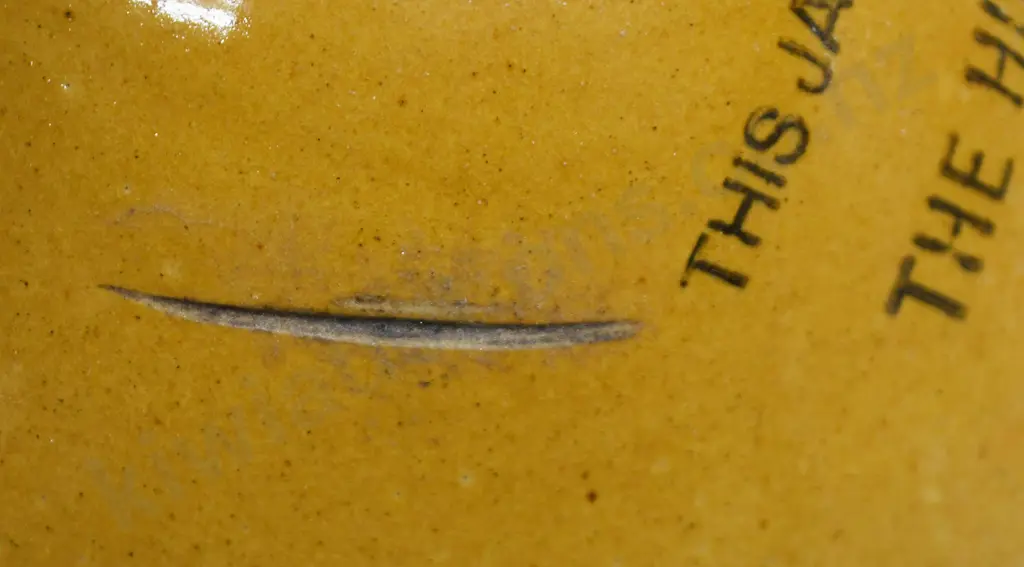 HUIA DANNEVIRKE- MASTERTON STONE JAR Image 1++