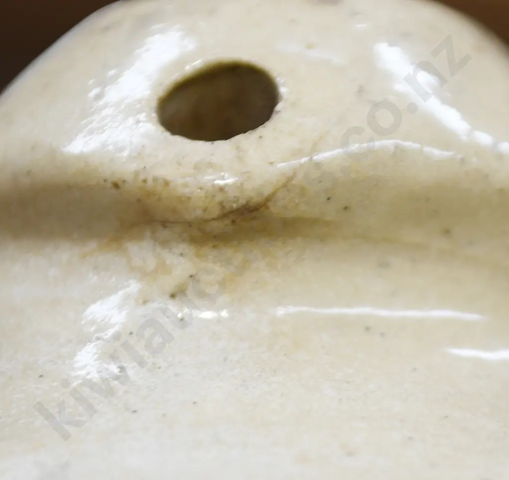 LANES LTD DUNEDIN STONE JAR Image 1++