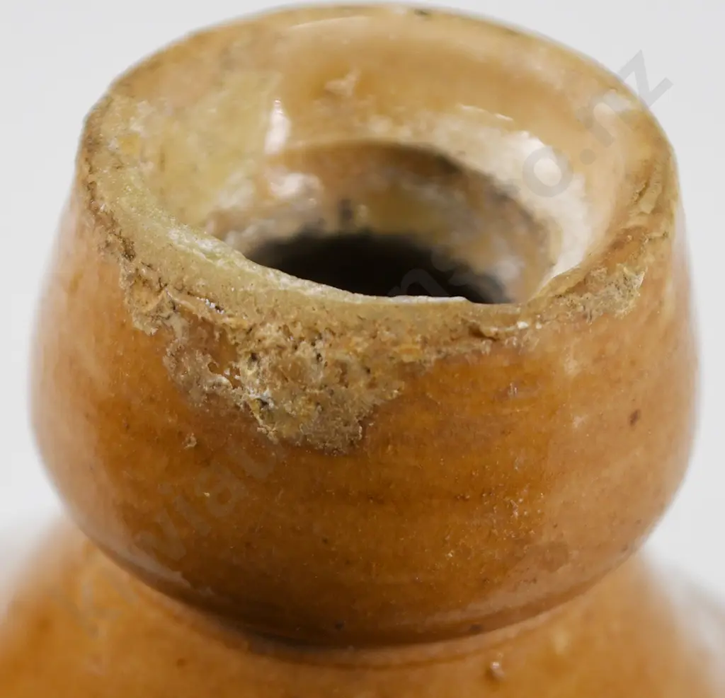 DIXON MASTERTON GINGER BEER Image 1++