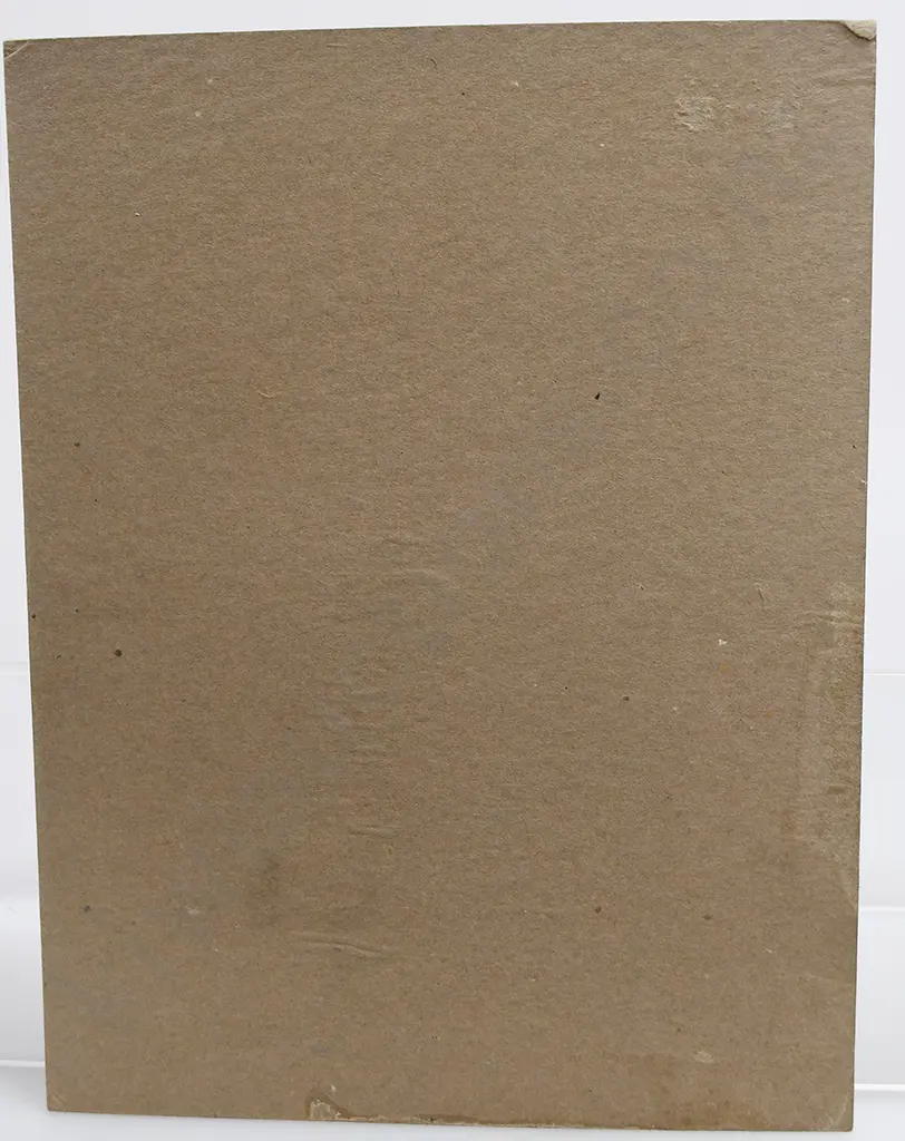 SHOW CARDS, CHERRY BLOSSOM TONETTE BOOT POLISH, DARKALINE STAIN Image 1++