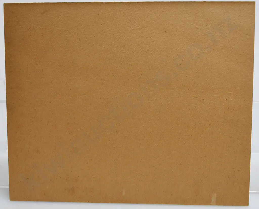 SHOW CARDS NYAL BRONCHITIS MIXTURE, DINNEFORD'S MAGNESIA Image 1++