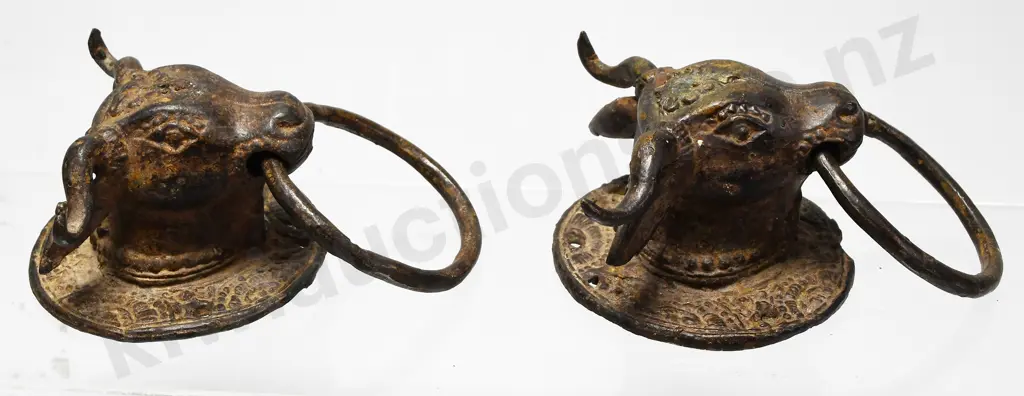 BULLS HEAD DOOR KNOCKERS Image 1++