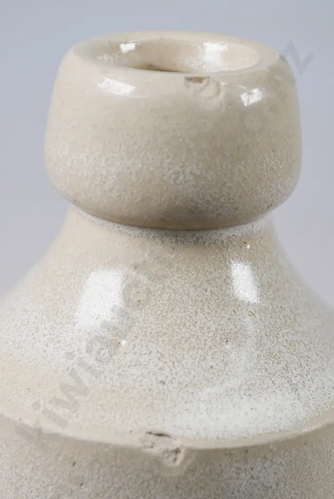 LEE TEMUKA GINGER BEER Image 1++