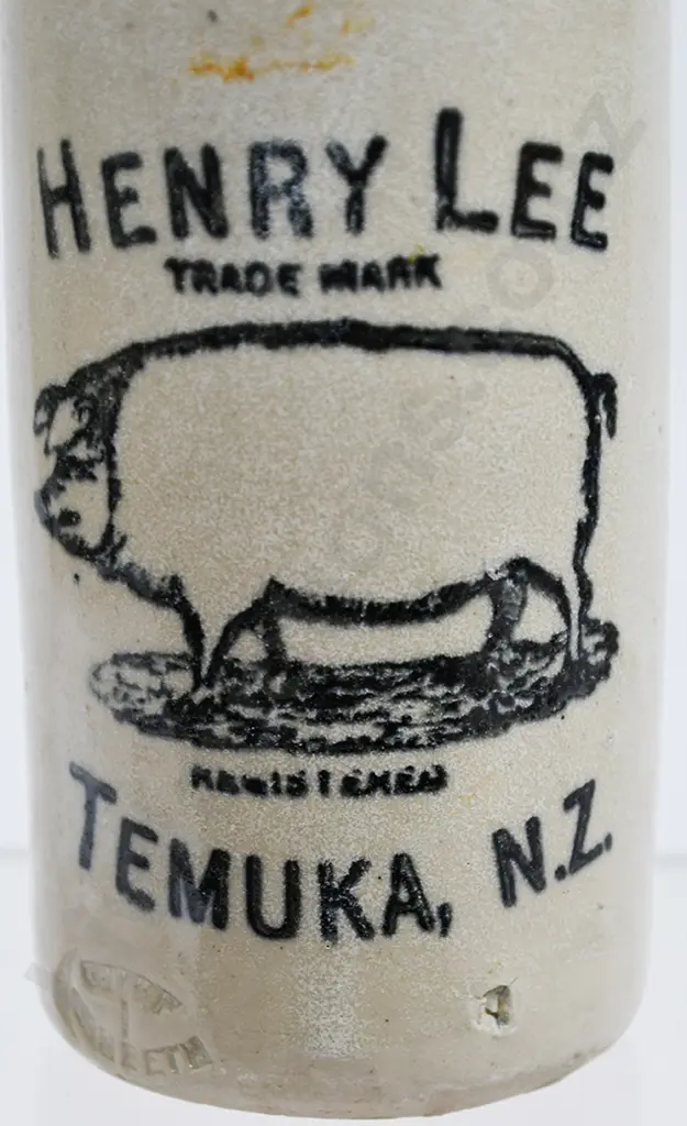 LEE TEMUKA GINGER BEER Image 1++