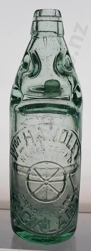 HANDLEY AUCKLAND CODD Image 1++