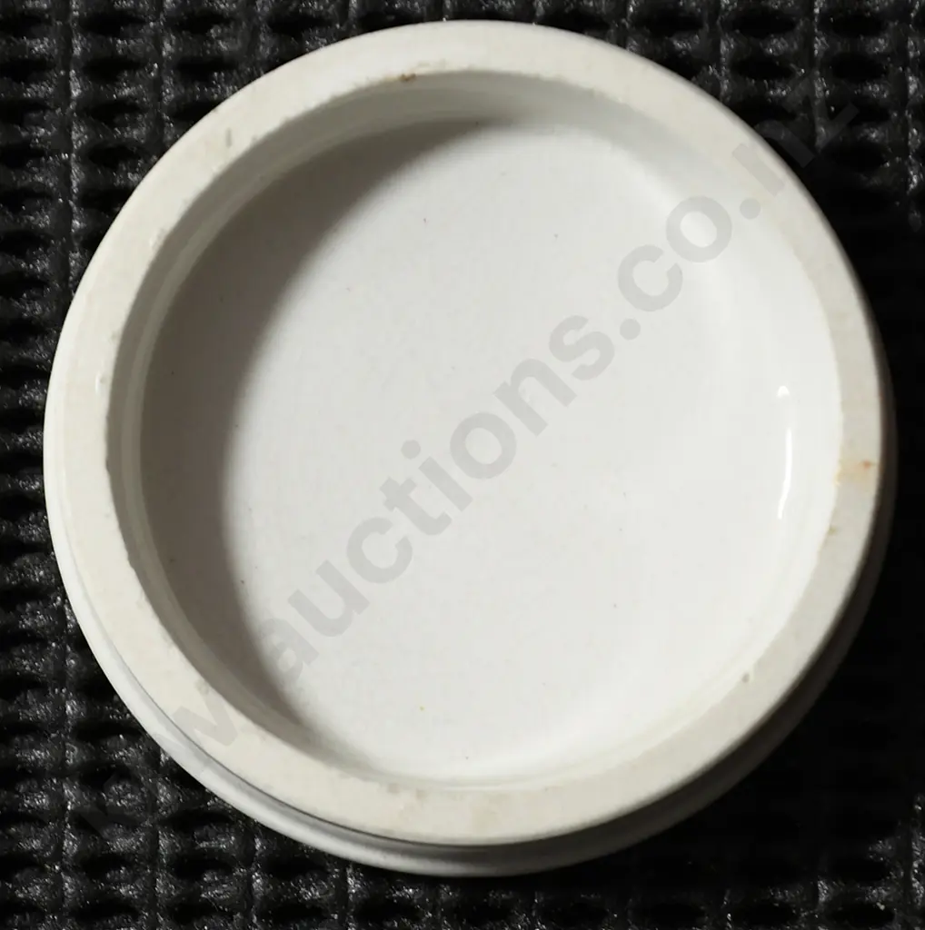 SENIORS (DUNEDIN) POT LID Image 1++