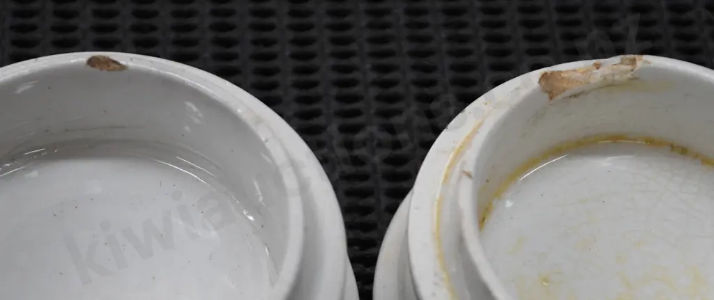 GOSNELL CHERRY TOOTH PASTE POT LIDS AND BASES Image 1++