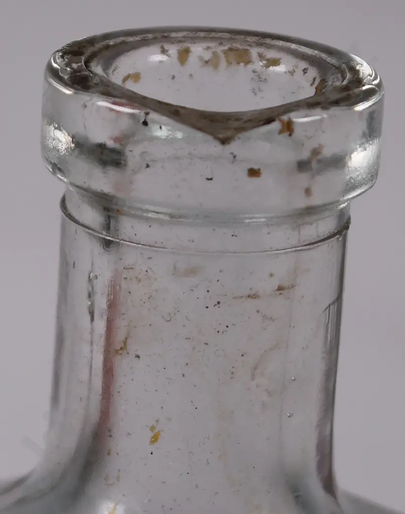 BANNISTER, CONN DUNEDIN CHEMIST BOTTLES Image 1++