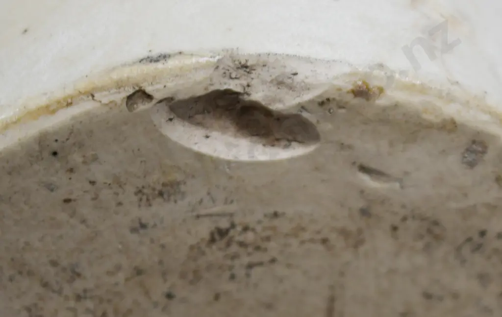 ALLEN'S PATENT FOOT ROT OINTMENT STONEWARE POT Image 1++