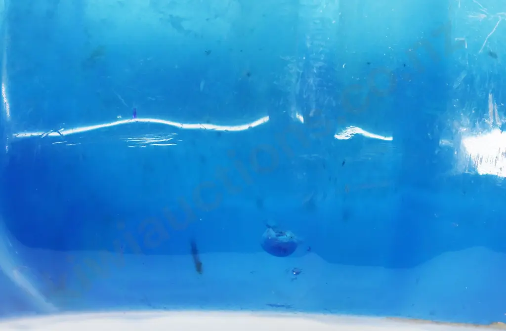 WRIGHT CHRISTCHURCH BLUE SYPHON Image 1++