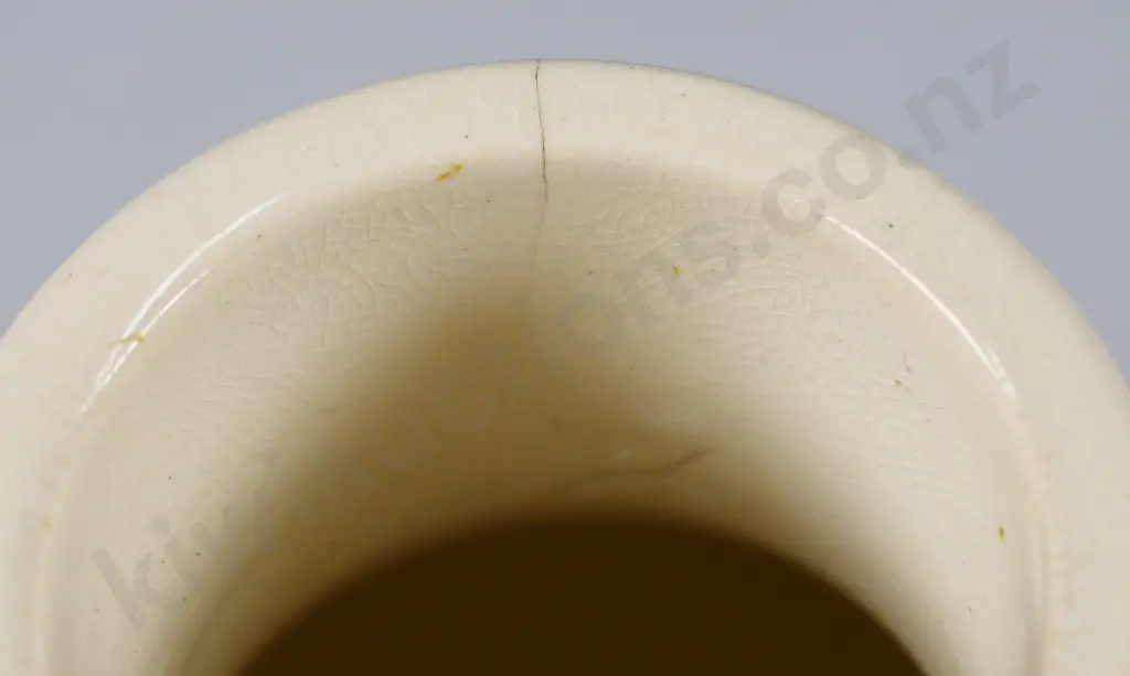 THE OXFORD INHALER Image 1++