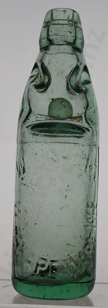 BRIGHT WHAKAREWAREWE CODD Image 1++