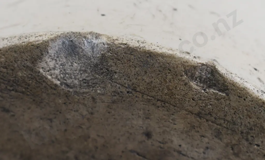 SHARPE BROS 4 CITIES STONE JAR Image 1++