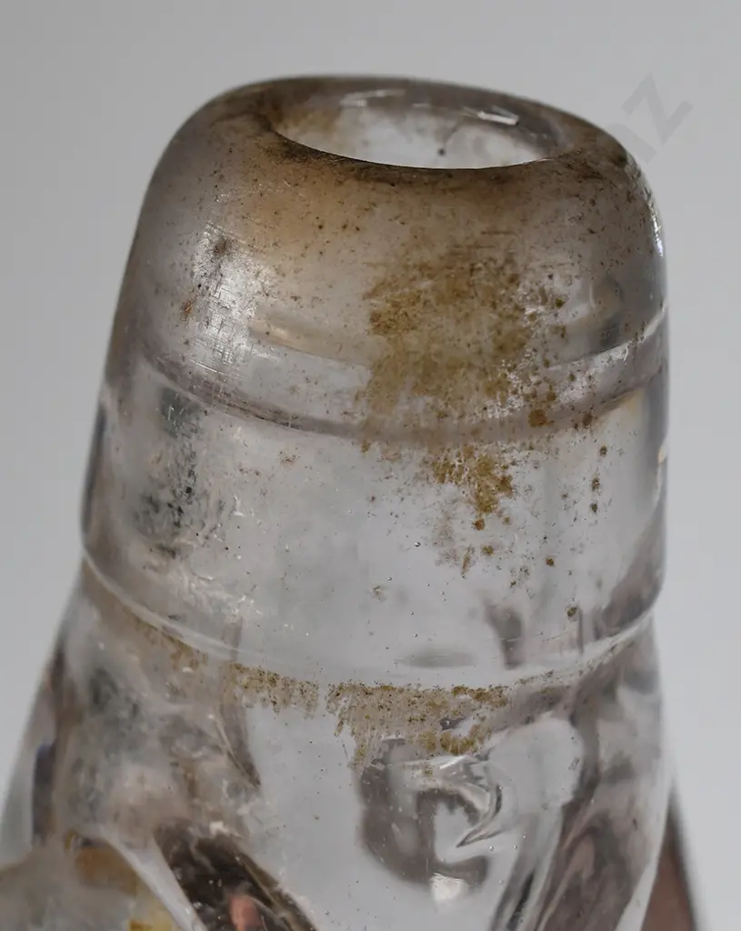CLARKE ROTORUA CODD Image 1++