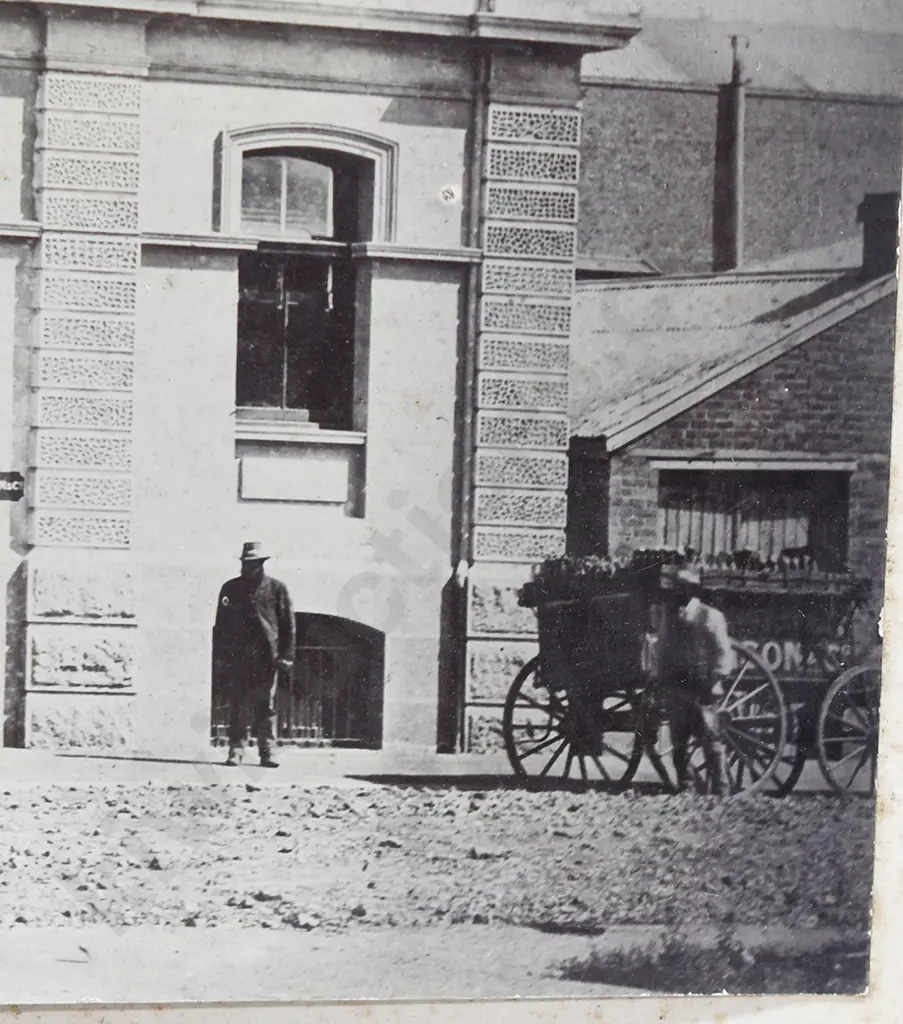 THOMSON DUNEDIN ORIGINAL PHOTOGRAPHS & CERTIFICATE Image 1++