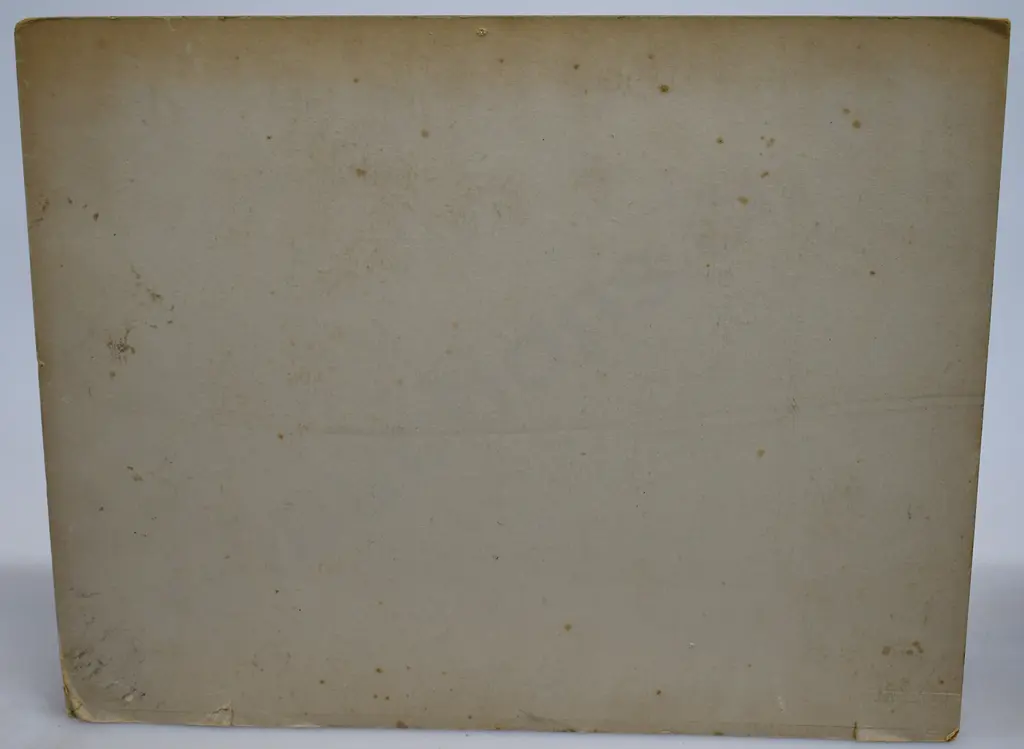THOMSON DUNEDIN ORIGINAL PHOTOGRAPHS & CERTIFICATE Image 1++