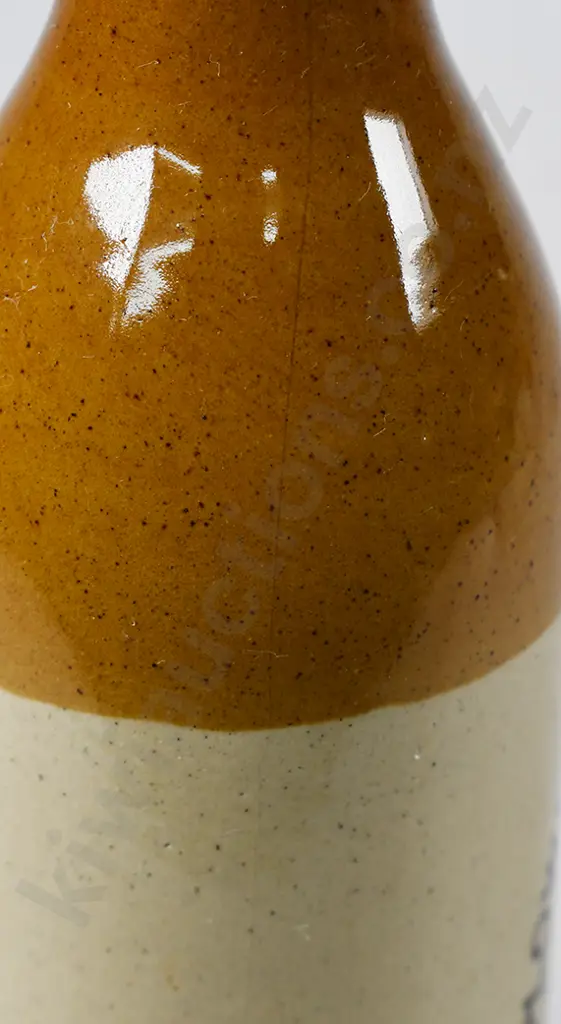 PLOWMAN NAPIER GINGER BEER Image 1++