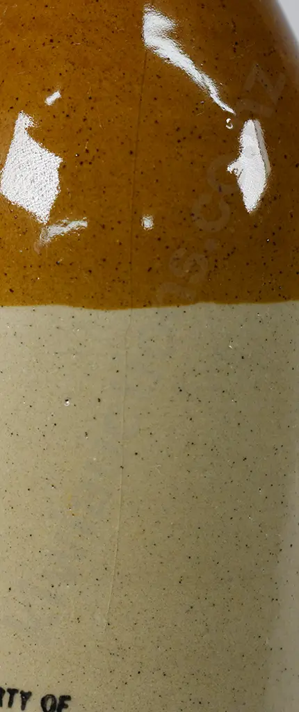 PLOWMAN NAPIER GINGER BEER Image 1++