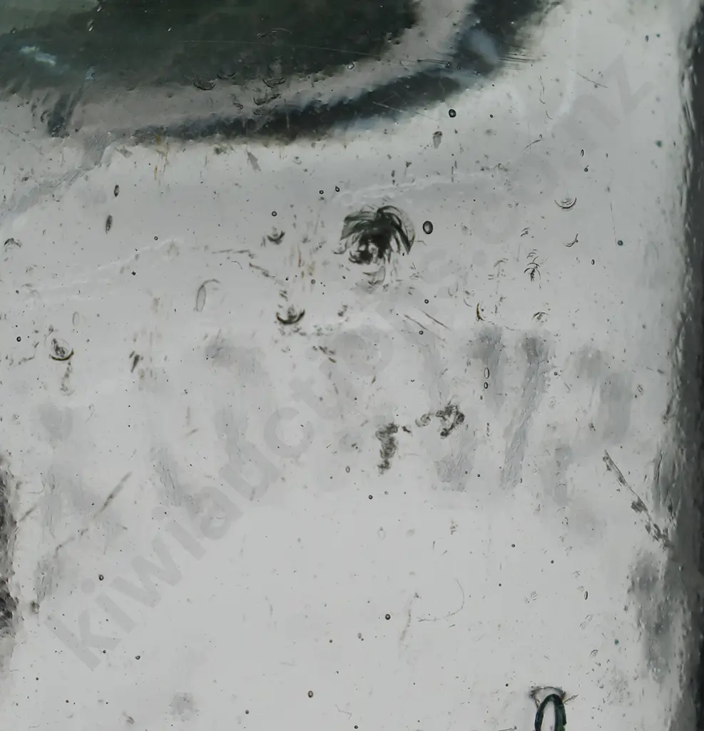 SWAN WANGANUI CODD Image 1++