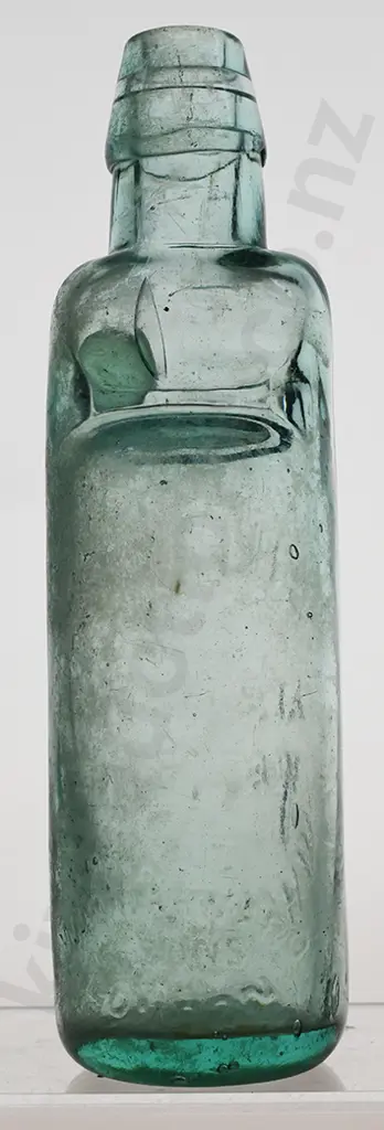 SIMONS WHANGAREI CODD Image 1++