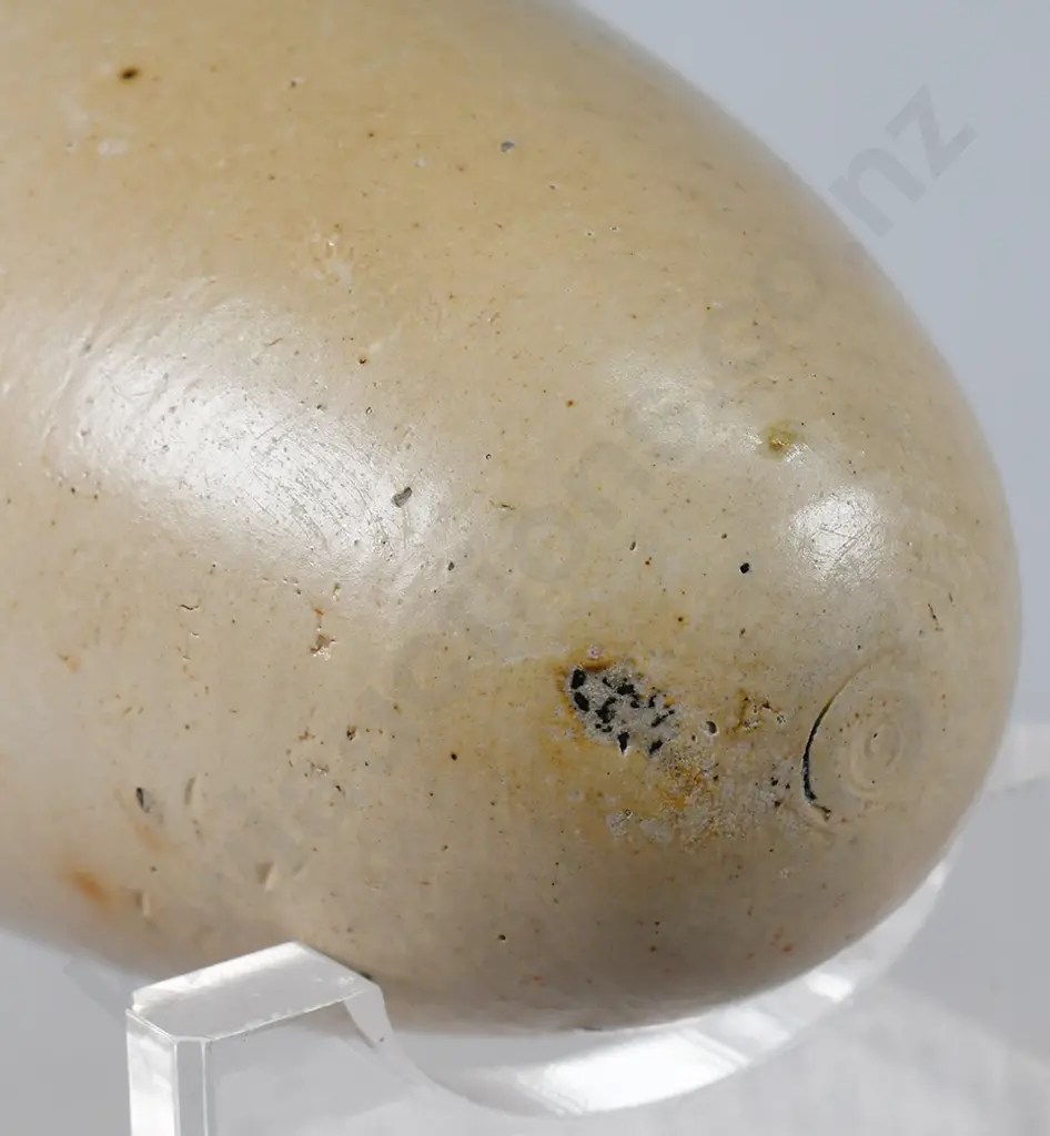 HOPKINS ST IVES STONEWARE HAMILTON Image 1++