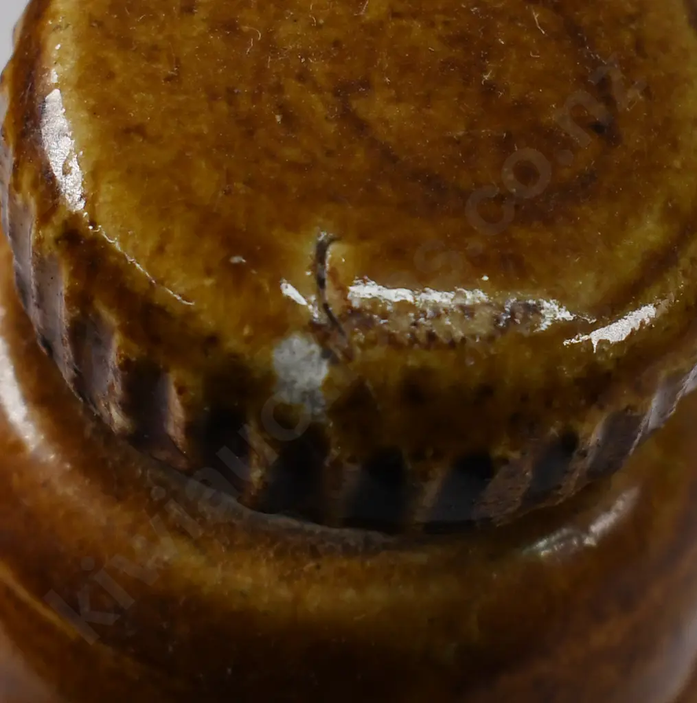 SWAN'S WANGANUI GINGER BEER Image 1++