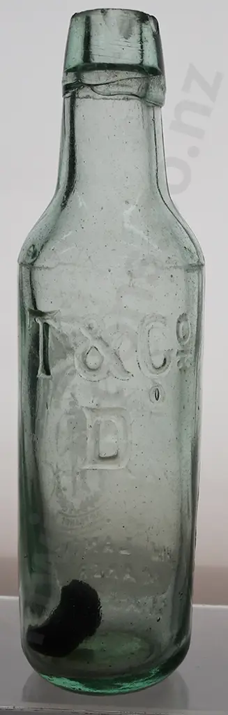 SCHUMACHER LYTTELTON ETCHED LAMONT Image 1++