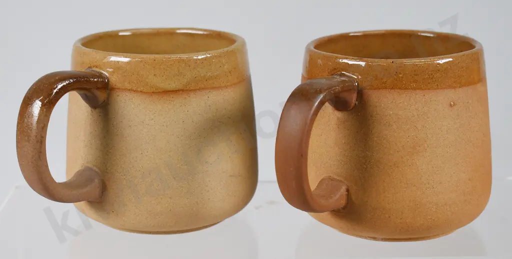 TEMUKA 1980 WHARE CUPS Image 1++