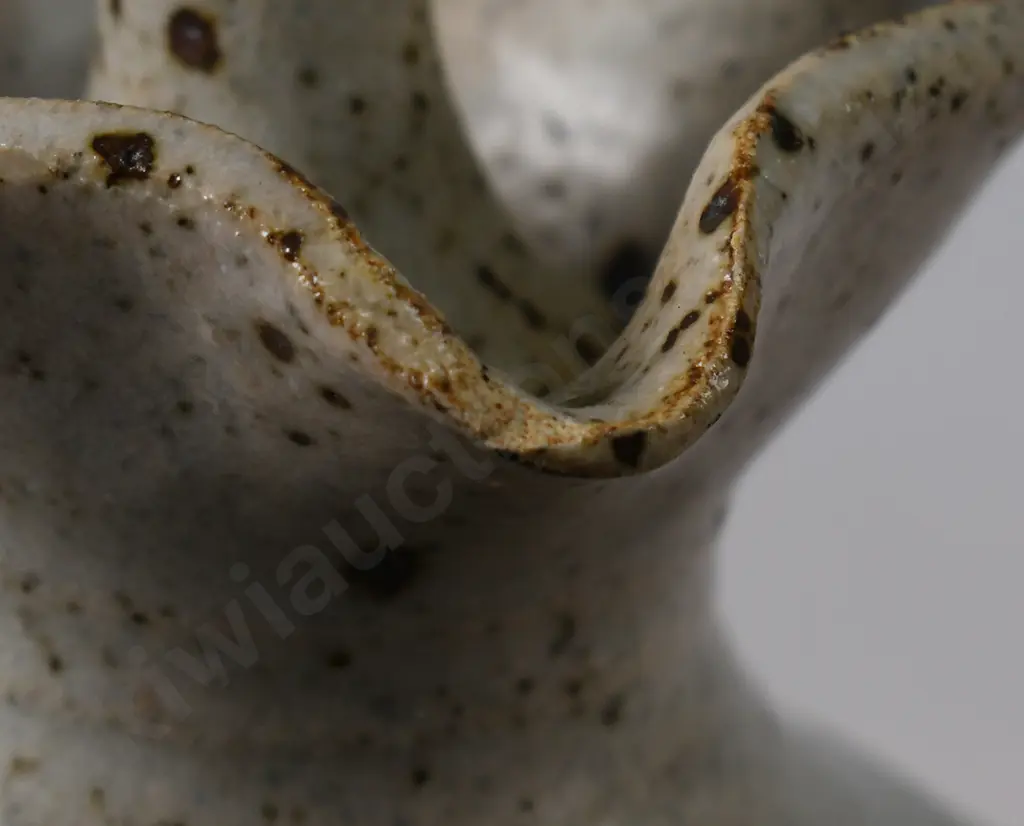NEIL GRANT DUNEDIN, HANDLED JUG & BOWL Image 1++