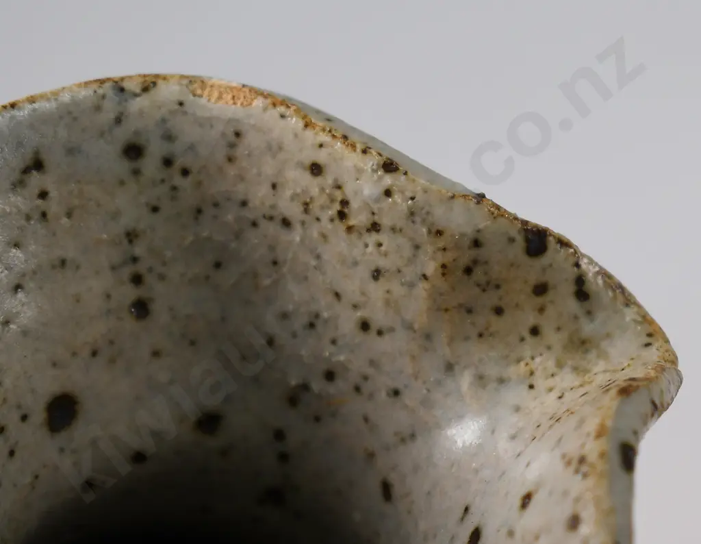 NEIL GRANT DUNEDIN, HANDLED JUG & BOWL Image 1++
