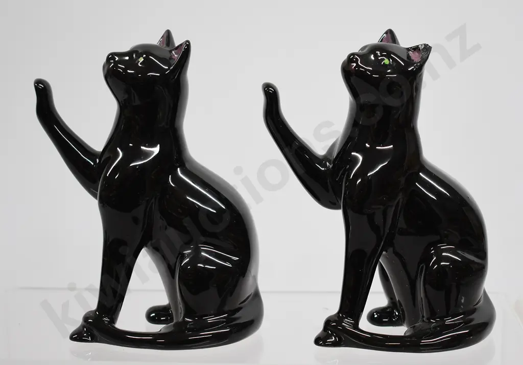 BLACK CAT & DOG COLLECTION Image 1++
