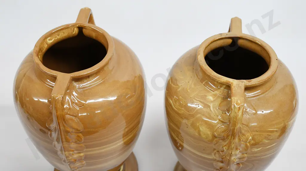 LOVATT TEMUKA GRECIAN STYLE 2 HANDLED VASES Image 1++