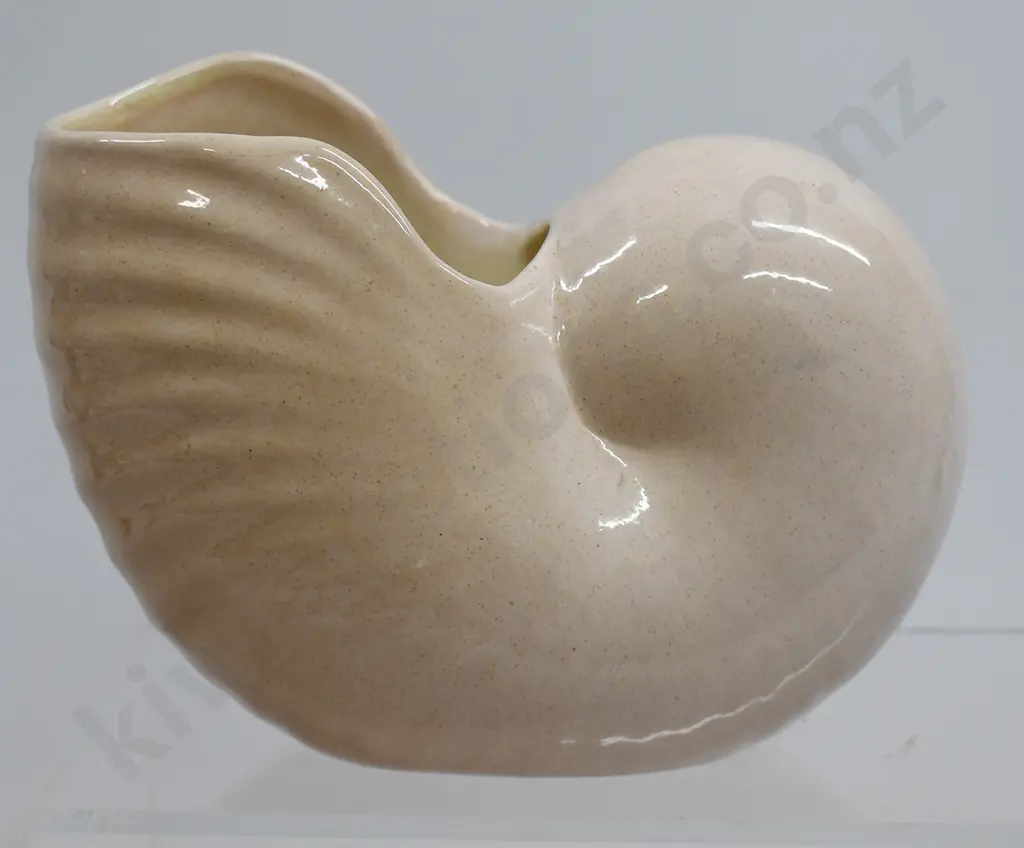 O C STEPHENS DUNEDIN NAUTILUS POSY VASES Image 1++
